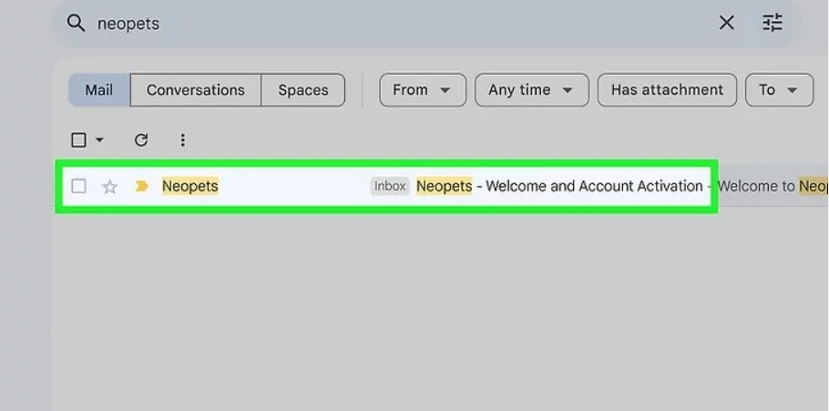 Search for neopets activation