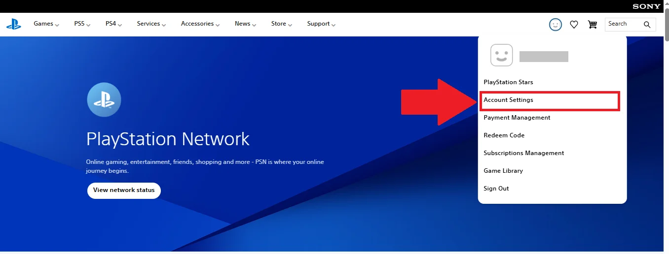 PSN Account